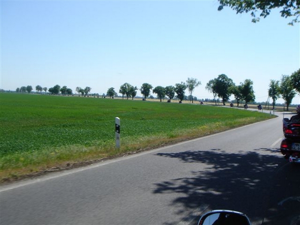 DSC01531 (2).JPG